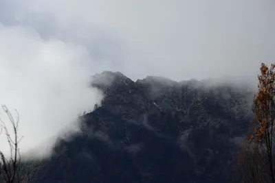 DSC_0880 (Large).JPG